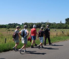 diest 4