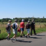 diest 4