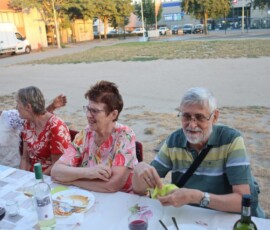 petakubbminton 103 66